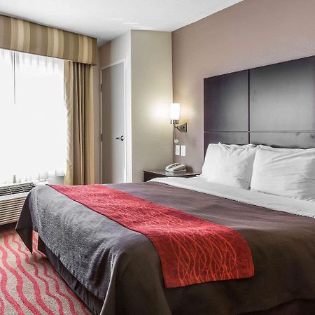 Comfort Inn Los Angeles Near Hollywood Экстерьер фото