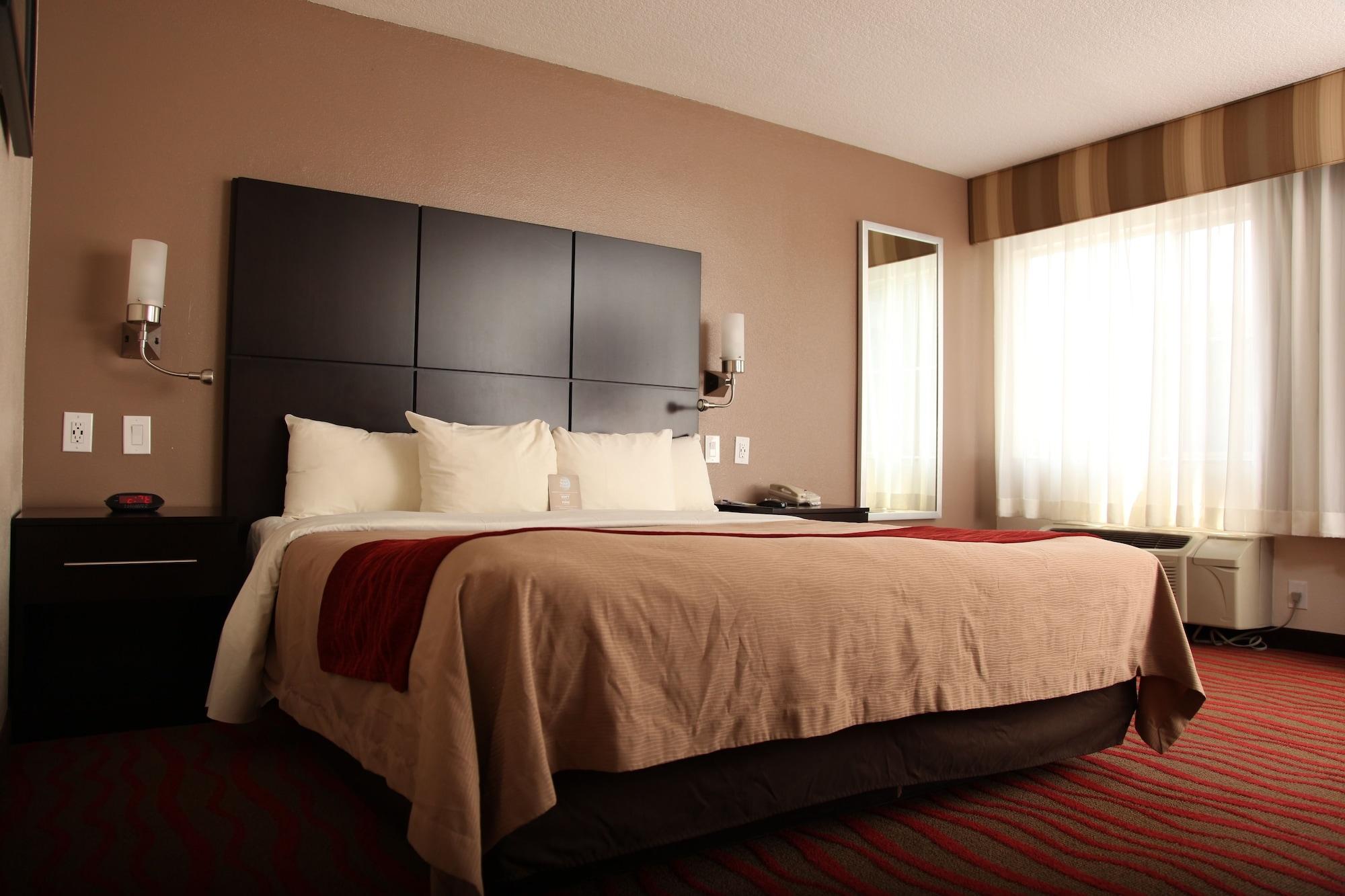 Comfort Inn Los Angeles Near Hollywood Экстерьер фото